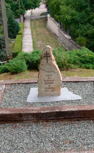 Fehér-szikla, Második-szikla; Sárisáp: Babál-szikla). A dombok közötti mélyedésekben számos patak fut le, így kisebb-nagyobb vizes élőhelyek is kialakulhattak itt.