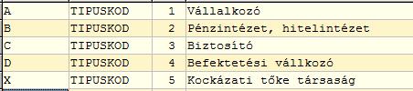 Javaslat! A migrációt követően az ASP Adó szakrendszerben az adómértékek áttekinthetőségének érdekében javasoljuk, a fenti képeken látható formátum használatát.