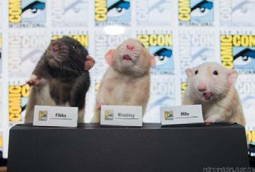 Íme Grabowski, a szuperegér, valamint a négy bérgyilkos patkány (eredetileg balettpatkányok): Buddy, Billy, Pissy