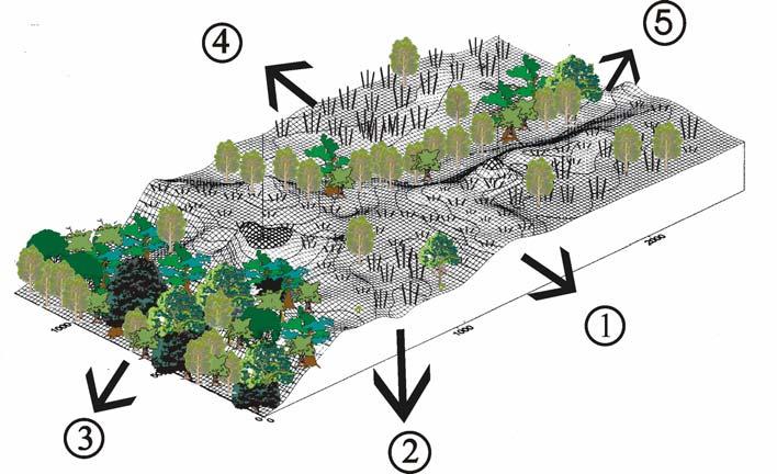 meghaladja a 92.5 métert) és a pollen elemzések alapján a kialakulásukat követően lucfenyő, erdeifenyő dominanciával jellemezhető tajgás erdőssztyepp fejlődött ki a felszínükön.