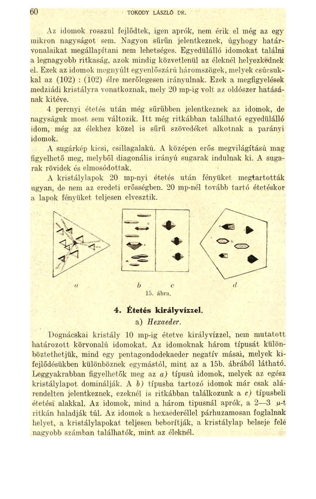 60 TOKODY LÁSZLÓ DR. Az idomok rosszul fejlődtek, igen aprók, nem érik el még az egy mikron nagyságot sem. Nagyon sűrűn jelentkeznek, úgyhogy határvonalaikat megállapítani nem lehetséges.