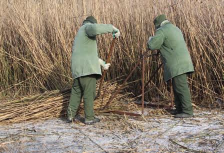 A börtön falai között készültek a fotók, amelyek fókuszában a fogvatartottak családi kapcsolatai, azon belül is a gyermekek szerepelnek.
