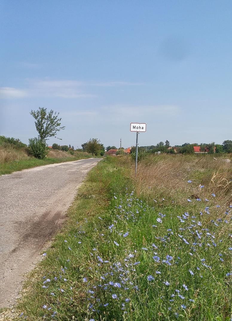 Két oldalt keskeny csapadékvíz-elvezető árok szegélyezi, melyeken túl