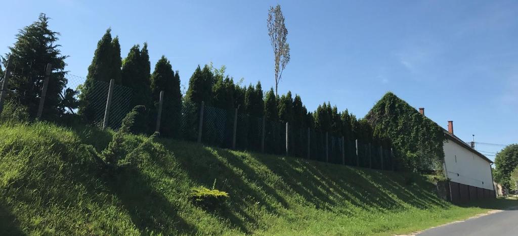 Szerepkör: A közterület szerepköre a betöltött funkció függvénye.
