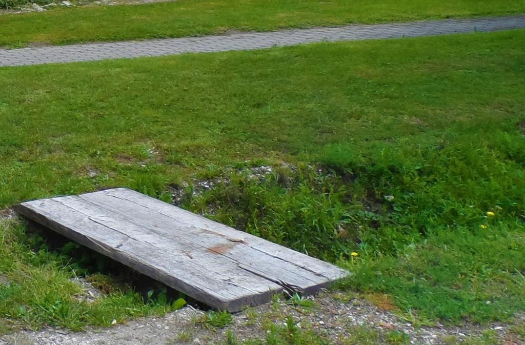 Gyepterületek növényzete Fontos megemlíteni a fennmaradó gyepes területeket. Egy utcát akkor tekintünk rendezettnek, ha a gyepfelületei összefüggőek, gyomtól mentesek és rendszeresen kaszáltak.
