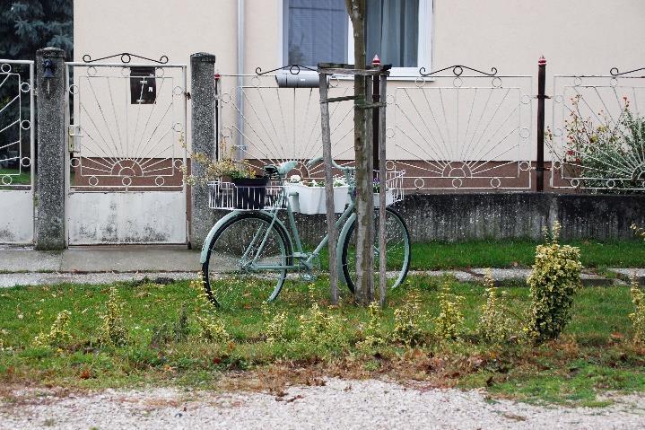 volta; gondozott jellege; minőségi
