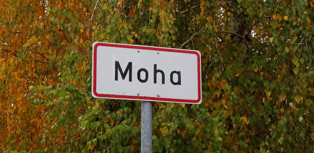Moha település neve az ősszláv Mucha (légy) szóból származik, mely egy szláv személynévből alakulhatott ki. A 13. században Muha volt a neve.