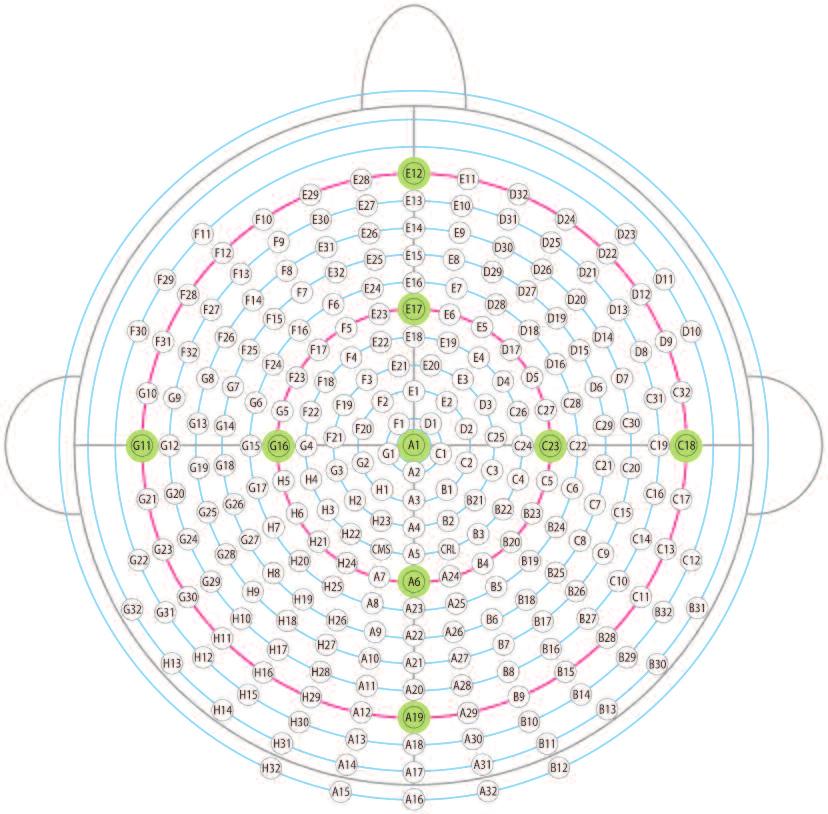 1. ábra. Nagy denzitású, 256 csatornás EEG-sapka kialakítása A zöld ponttal jelölt csatornák a nemzetközi 10-20-as rendszernek feleltethetôk meg pszichiátriához kapcsolódó projektet támogat: 1.