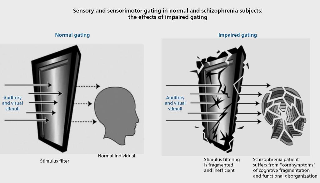 Szenzoros kapuzás egészséges és szkizofrén személyeknél Intakt kapuzás Károsodott kapuzás Auditoros és vizuális ingerek