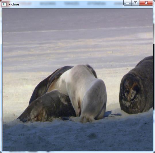 ..5.. Video file olvasása #include "stdafx.h" #include <stdio.h> #include <opencv/opencv.