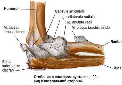 (LATERALE) ERED TAPAD