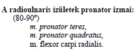 PRONATIO -