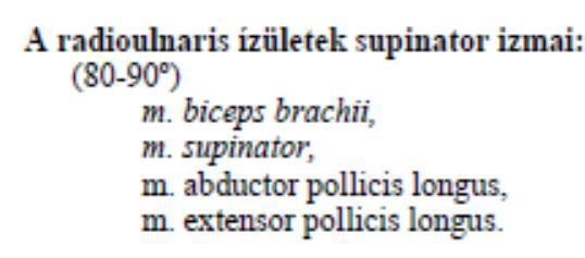 mozgásban részt