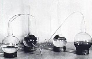 Pasteur azonosította: Streptococcusokat