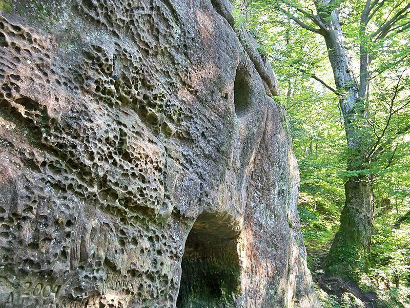 A tafonik előfordulási helyzetük szerint lehetnek: - lekerekített kőtömbök aljában (alapján), ill. oldalában - meredek sziklafalak oldalában.