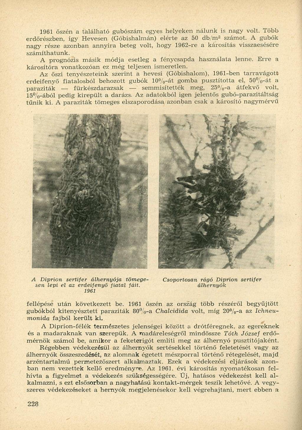 1961 őszén a tálálható gubószám egyes helyeken nálunk is nagy volt. Több erdőrészben, így Hevesen (Góbishalmán) elérte az 50 db/m- 2 számot.