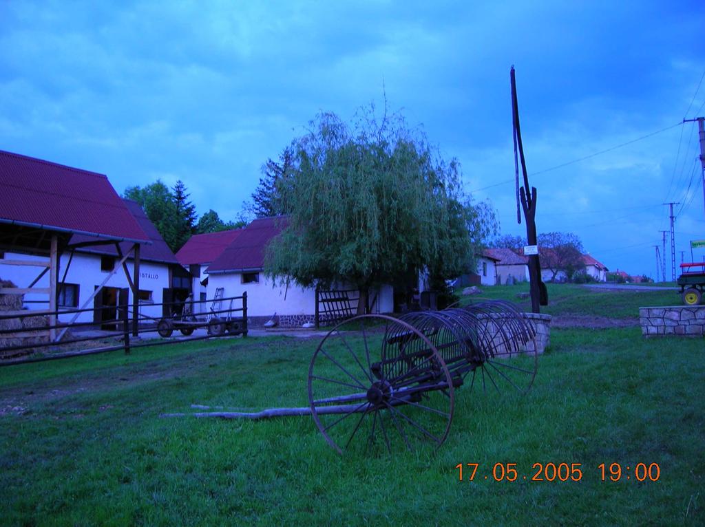 5. kép Mogyoróska:
