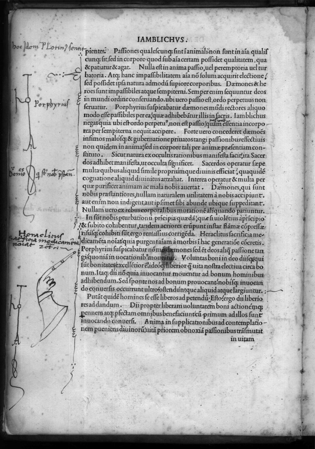 A hoc idem Plotinus sentit