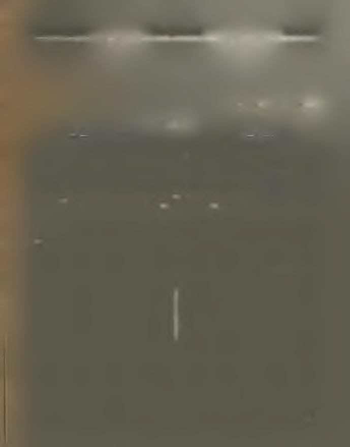 Nemtagoknak előfizetési d íj: Egész évre 6 K, fél évre 3 K v I J S z e r k e s z t i: R É P Á S S Y M IK L Ó S m ű sz a k i ta n á c so s S z e r k e s z tő s é g : B u d a p e s t, V.