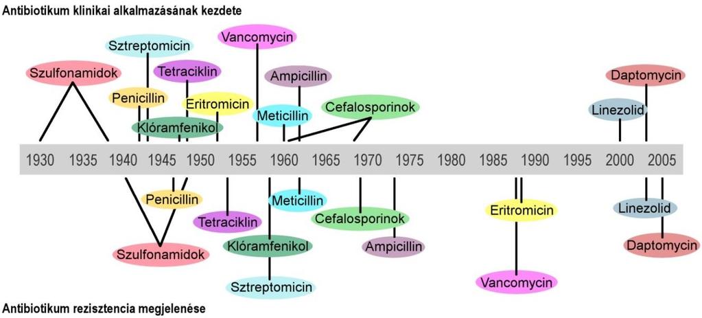 I. Bevezetés: a multidrog rezisztencia okozta egészségügyi krízis Az antibiotikumok terápiás alkalmazása rendkívüli mértékben járult hozzá a várható életkor növekedéséhez 1.