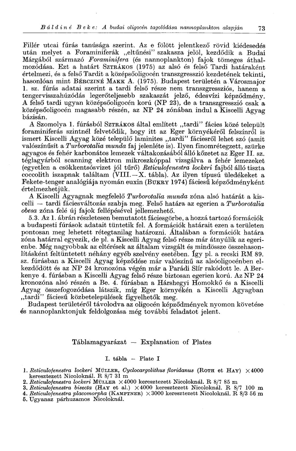 В ál d in é Bebe: A budai oligocén tagolódása nannoplankton alapján "3 Fillér utcai fúrás tanúsága szerint.