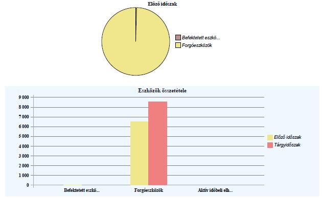 -6- Eszközcsoport Előző időszak Tárgyidőszak Aktív időbeli elhatárolások 0 0.0 0 0.0 Eszközök összesen 6 532 