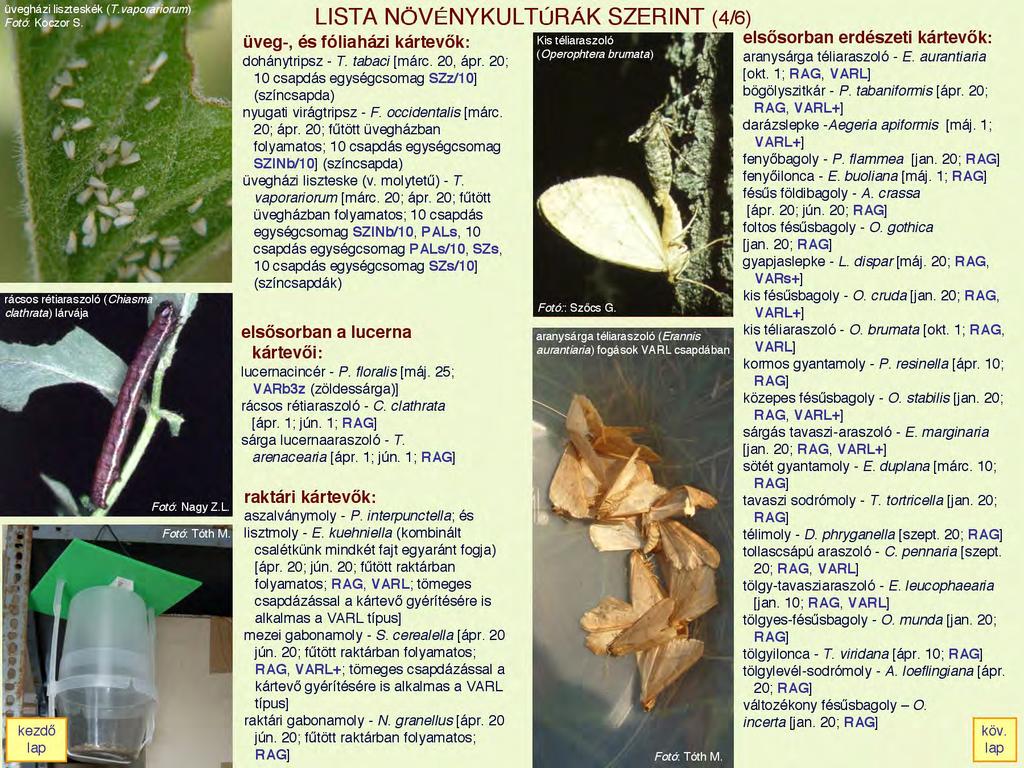 2000 Összes fogott bogár124 db Összes fogott bogár:4732 db. Nem kell  találgatnunk - a feromoncsapdával pontosan mérhetœ! - PDF Ingyenes letöltés