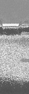9,6kb,kb,6kb,kb 300bp 40bp 500bp b a.