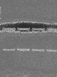 teljes tetrádjának YCL008c PCR-RFLP analízise...: a;.: b; 3.