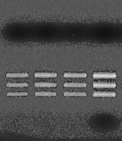 : 0-70 x m9 hibrid; 4.: a; 5.: d F3; 6.: a; 7.:b; 8.:c; 9.:d F4.