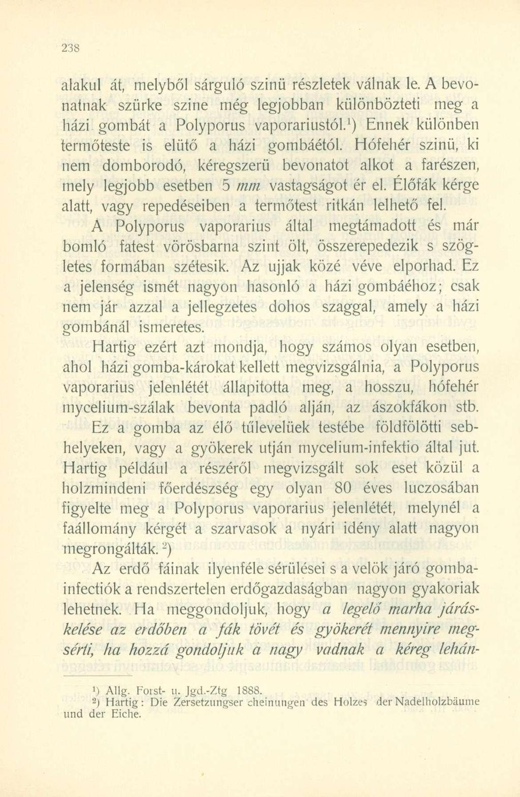 alakul át, melyből sárguló szinü részletek válnak le. A bevonatnak szürke szine még legjobban különbözteti meg a házi gombát a Polyporus vaporariustól.