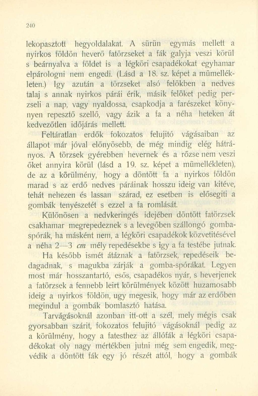 lekopasztott hegyoldalakat. A sürün egymás mellett a nyirkos földön heverő fatörzseket a fák galyja veszi körül s beárnyalva a földet is a légköri csapadékokat egyhamar elpárologni nem engedi.