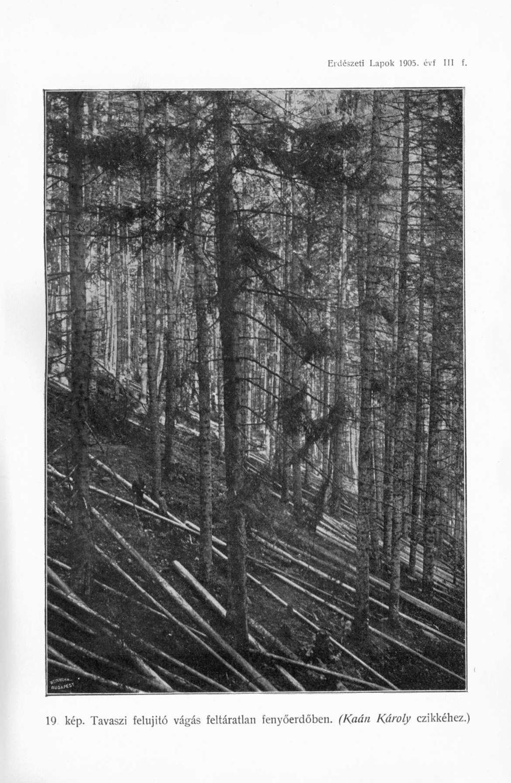 Erdészeti Lapok 1905. évf III f. 19 kép.