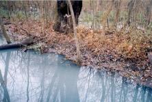 A vizek minősége Környezetmérnöki alapok (AJNB_KMTM013) 7. A vízvédelem alapjai 2018/2019-es tanév I.