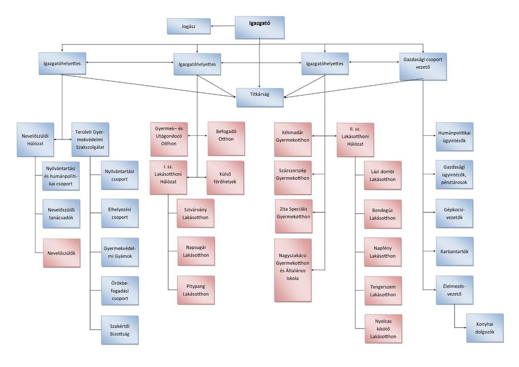 SZERVEZETI ORGANOGRAM