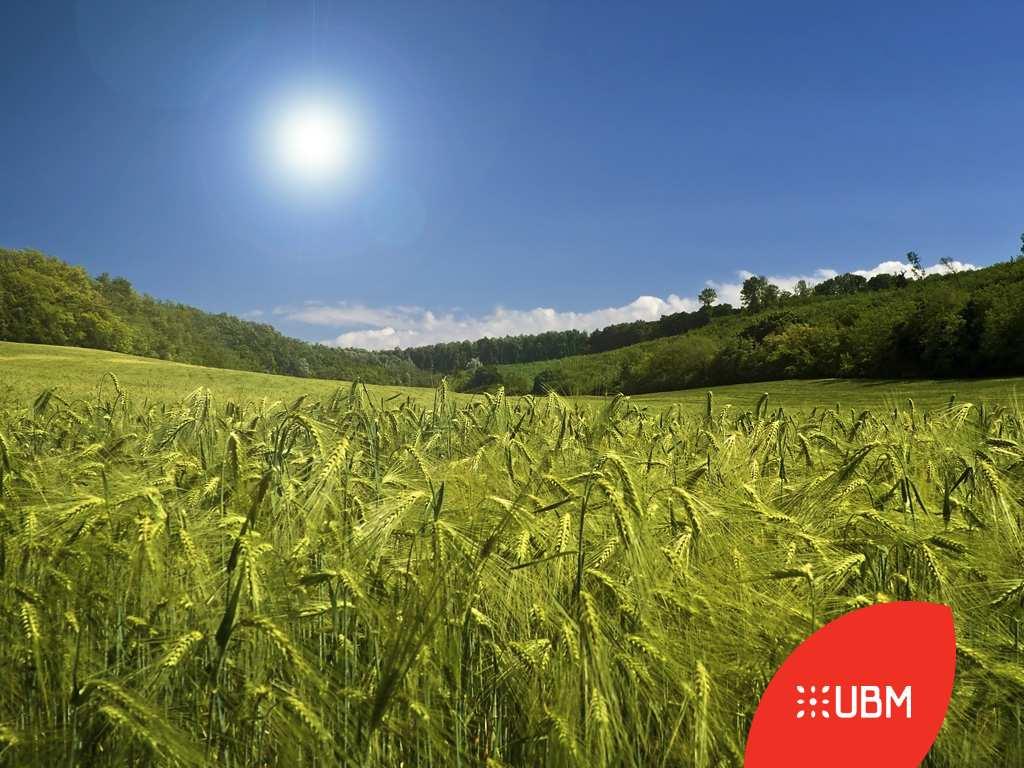 Az UBM-ről 16 éve alakult 50-50% svájci magyar tulajdonnal. Fő tevékenysége: szója, gabona, takarmány alapanyag és keveréktakarmány nagykereskedelem.