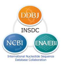 Nukleinsav szekvencia adatbázisok Elsődleges DNS szekvencia adatbázisok (International Nucleotide Sequence Database Collaboration http://www.insdc.