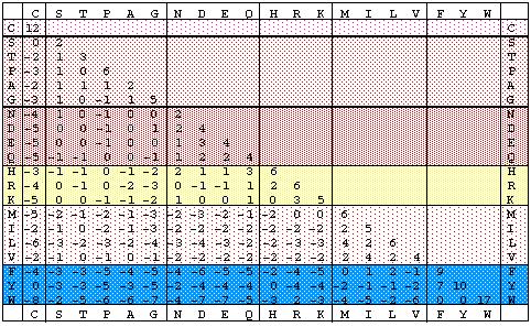 Log odds" mátrix (250 PAM) Pozitív értékek: konzervatív cserék, negatív értékek: valószínűtlen cserék.