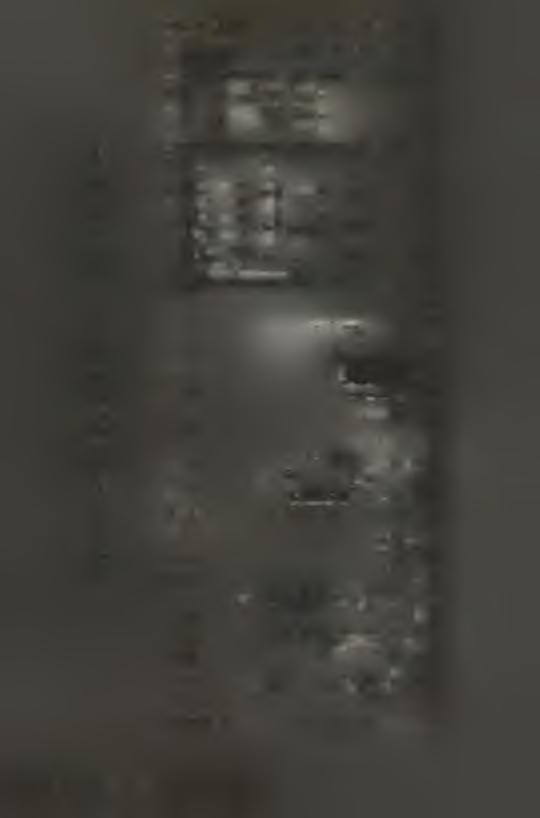 án y