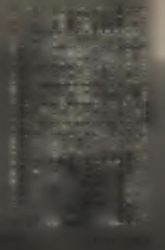 erikus