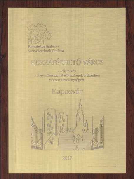 2012-ben a Fogyatékos Emberek Szervezetinek Tanácsa Hozz