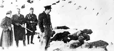 1939 márciusa a konfliktus akkor alakult ki, amikor a magyar csapatok már az autonómia határán álltak. 1939. március 14-én a 40 ezer fős magyar hadsereg behatolt az autonóm tartomány területére.