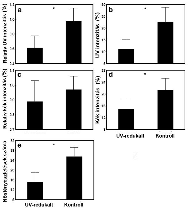 8. ábra A színjellemzők összehasonlítása (az UV-redukáló és kontroll kezelést követően; a d),valamint a nőstény észlelések száma (e) a kontroll és UV-redukált hímek esetében.