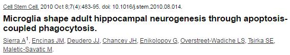 felnőtt agyi neurogén zónákból hippocampus szubgranuláris zónájában