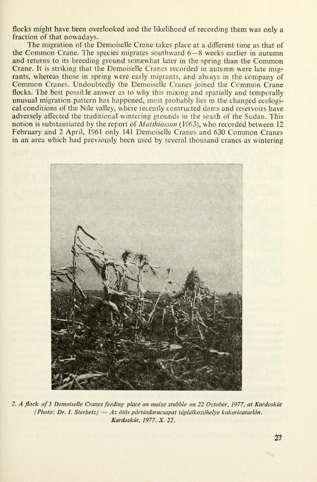 flocks might have been overlooked and the likelihood of recording them was only a fraction of that nowadays.