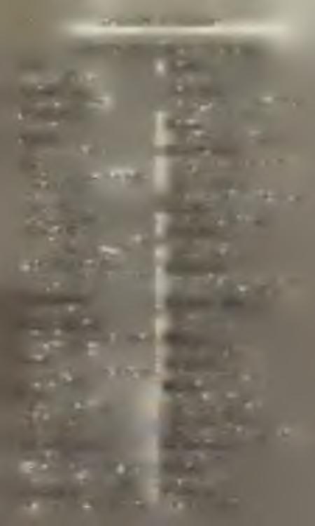 138 K Ö N Y V N Y O M D Á K A V ID É K E N KÖNYVNYOMDÁK A VIDÉKEN. I Ada. Berger Adolf. Alsó-Kubin. Schneider Dezső. Alsó-Lendva. Bozzay P. Apatin. Szavadill József. Arad.