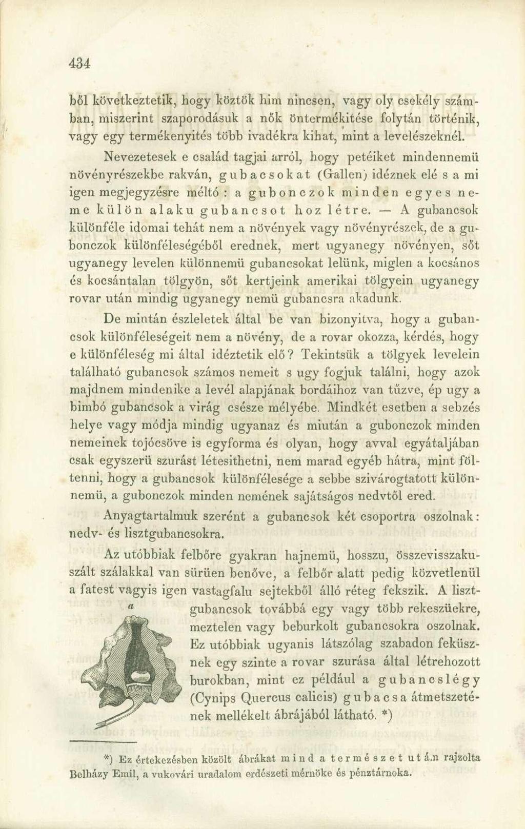 bői következtetik, hogy köztök him nincsen, vagy oly csekély számban, miszerint szaporodásuk a nők öntermékitése folytán történik, vagy egy termékenyítés több ivadékra kihat, mint a levelészeknél.