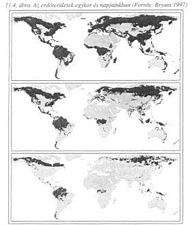 egykori természetes erdőborítás Miért probléma az erdőirtás? (folyt.) 2.