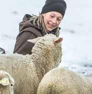 fjällräven juhok A Fjällräven megalkotta a 100% -ban nyomon követhető svéd gyapjú pulóvert a fjällräven ezen ajánlata egy újabb példája arr, hogyan lehet gyökereinkhez visszanyúlva annak