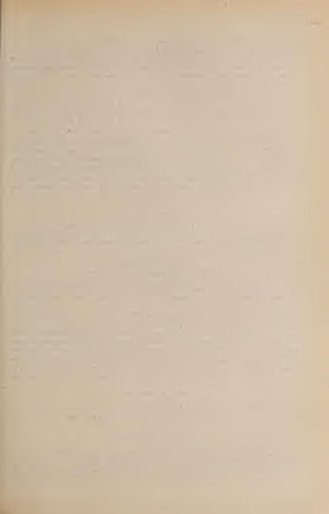 183 The septae I. order extending to the centre near the columella. The septae II. order nt only those, which are in vicinity near the counter septum.